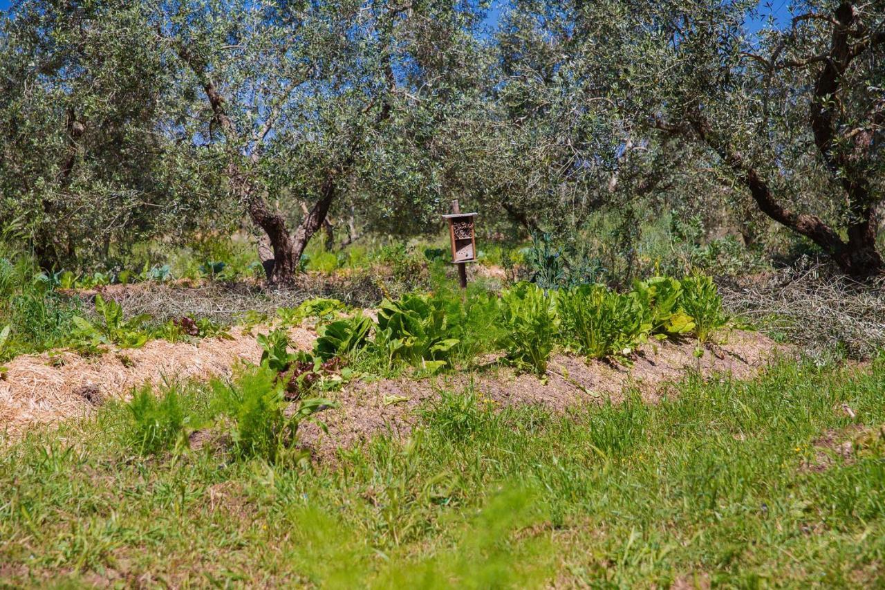 Agriturismo Biologico Piccapane Cutrofiano Exterior foto
